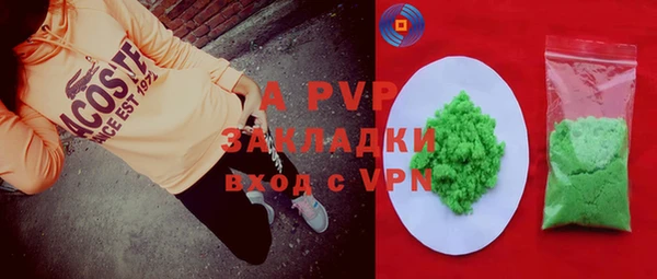 PSILOCYBIN Вяземский