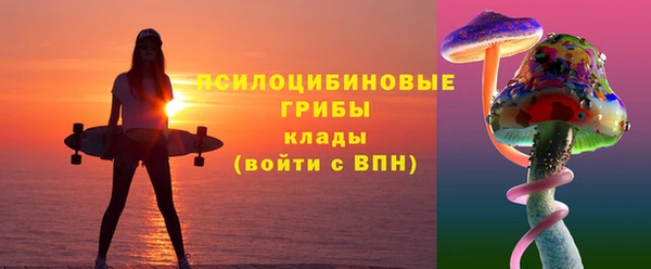 бутират Горнозаводск