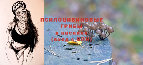 PSILOCYBIN Вяземский