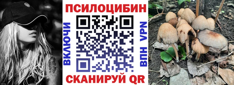 ссылка на мегу вход  Дальнегорск  Галлюциногенные грибы Psilocybine cubensis 